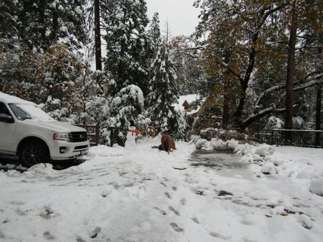 Jonny playing in the snow